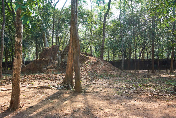 istock Prasat Damrei Temple Angkor Era 952051136
