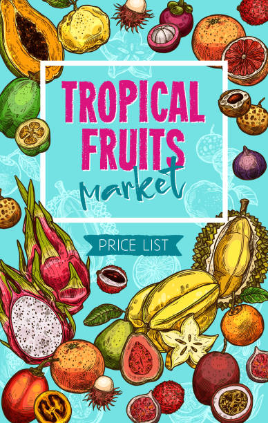 ilustraciones, imágenes clip art, dibujos animados e iconos de stock de mercado de frutas de vector sketch precio de frutas de xotic - feijoo