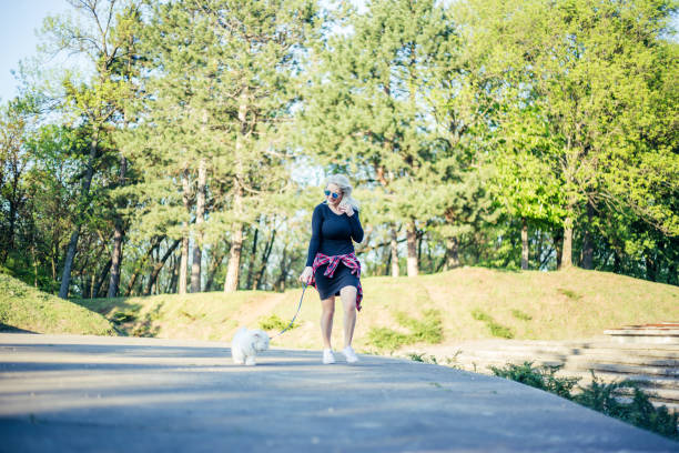 istock Young woman walking with poodle dog 952056758
