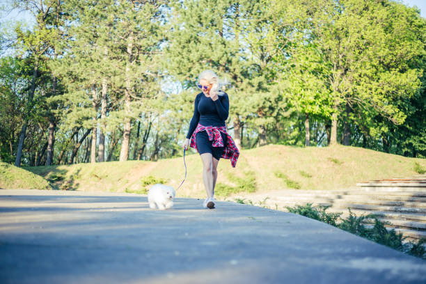 istock Young woman walking with poodle dog 952056794
