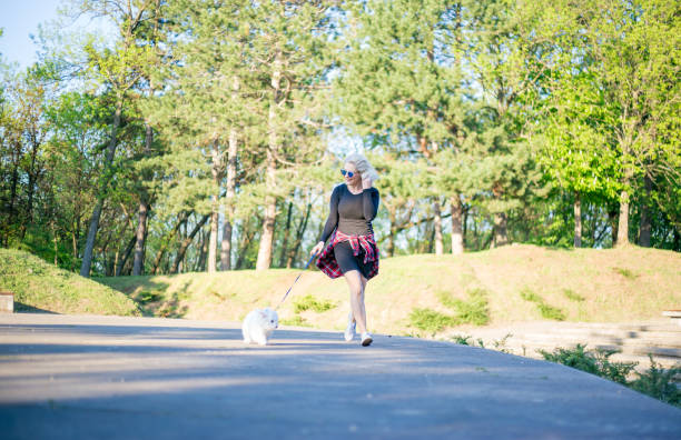 istock Young woman walking with poodle dog 952057062