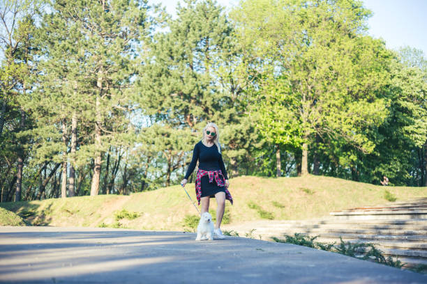 istock Young woman walking with poodle dog 952057074