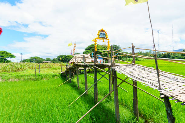 istock beautiful Rural bamboo bridge across the rice paddy fields with blue sky and fluffy cloud in sunny day at countryside. lampang, northern part of thailand. Bridge name 