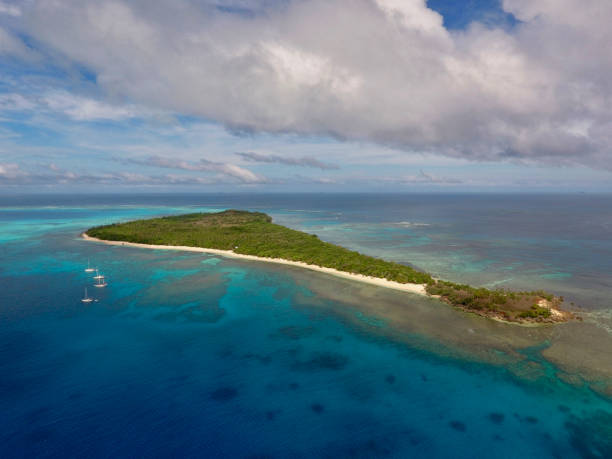 istock Aerial view Tonga Island Nemouka 952059882