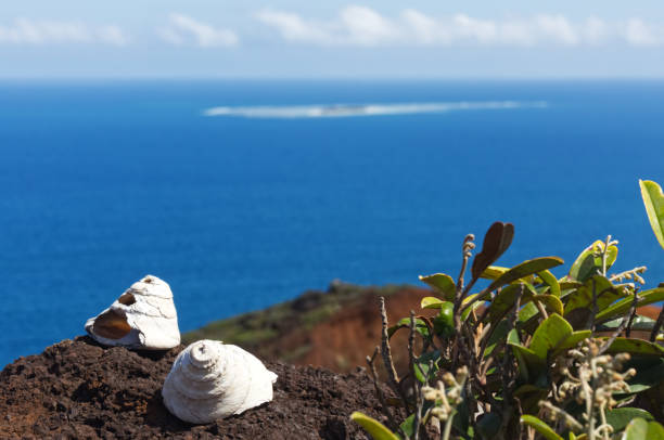 Lookout with shell over New Caledonia South East stock photo