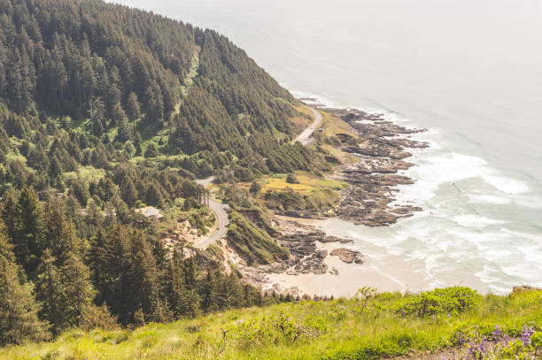 istock Aerial View of Oregon Coast 952060914