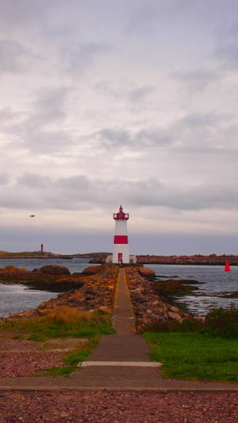 istock Lighthouse of Saint-Pierre 952065114