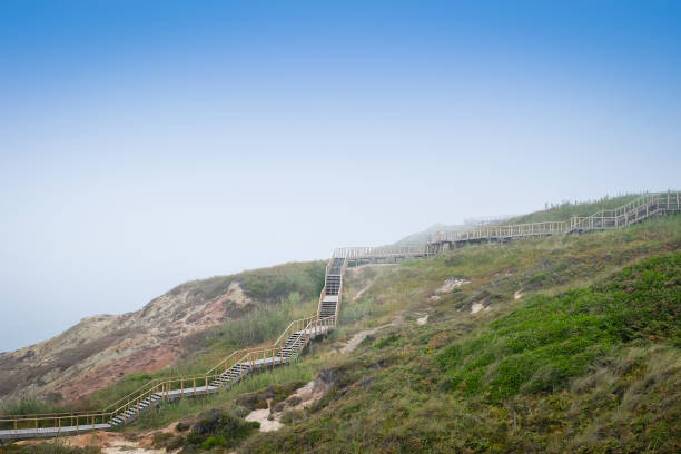 istock Seaside Wooden Stairs 952066218