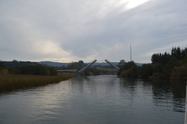 istock Puente Cau Cau, Valdivia. 952067390