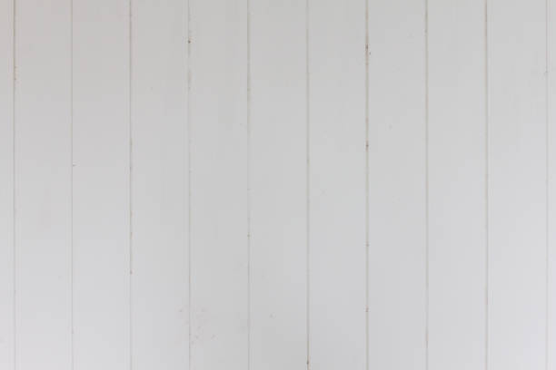 istock White wood door background. 952072364