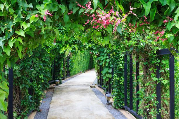 istock Beautiful footpath in the garden. 952072396