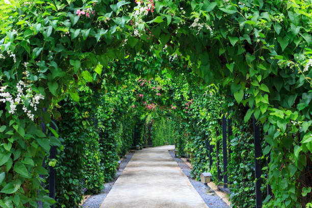 istock Beautiful footpath in the garden. 952072400