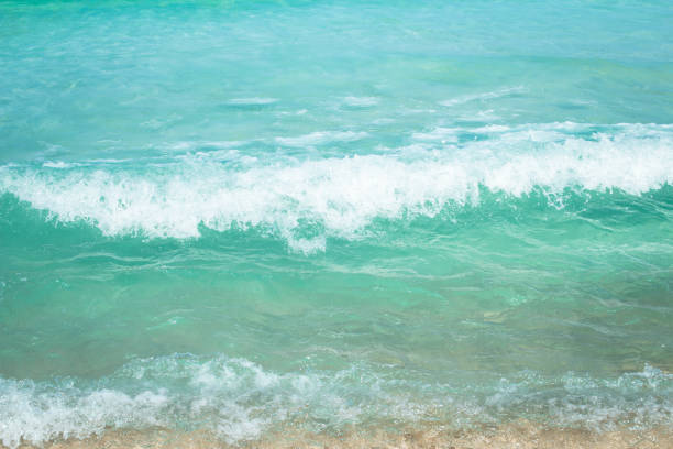 A beautiful shore line in Cancun Mexico with white sands and the blue water.