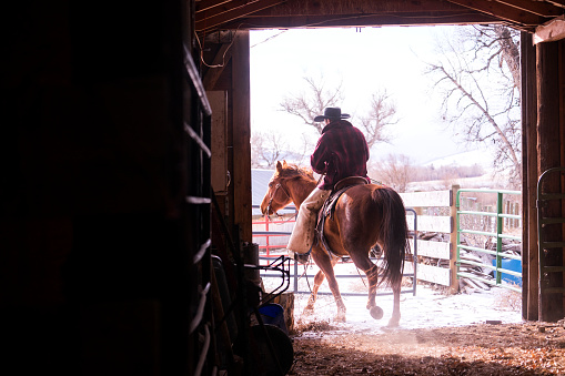 Jinete a caballo sale un granero en Montana photo
