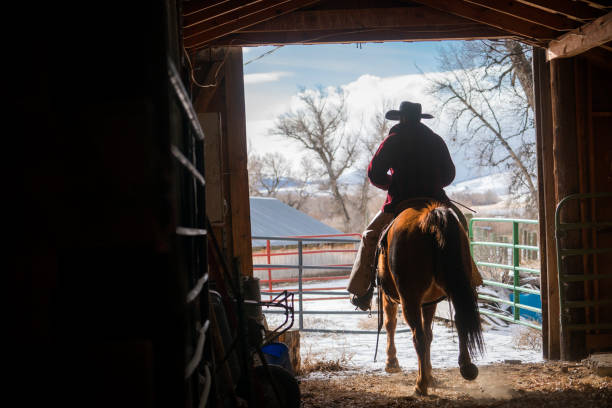 istock Horseback rider exits a barn in Montana 952073484