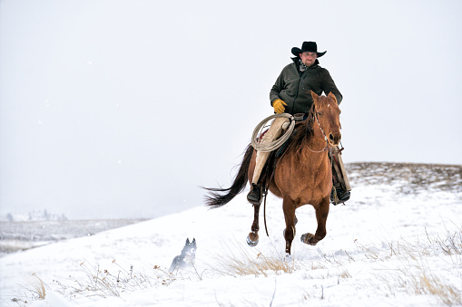 Vaquero Galopando a través de montaña cubierto de nieve en Montana photo