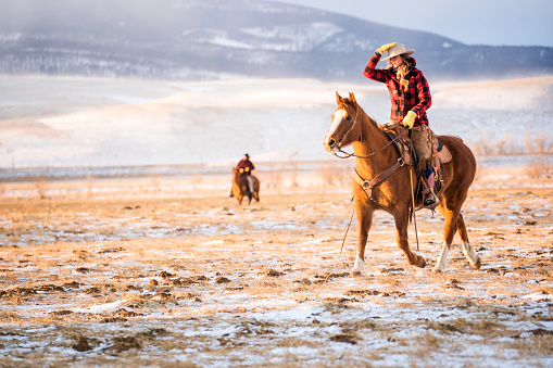 Pareja en Rancho de ganado de carne en Montana photo