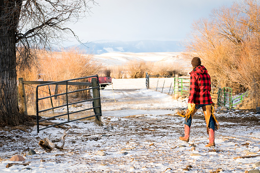 Ranchero femenino cierra una puerta de ganado en su granja de Montana photo
