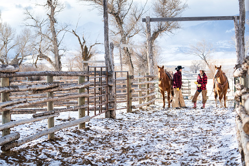 Married couple in their 30's wearing red plaid jackets stand with their quarter horses as they talk and communicate near a horse corral in snowy pastures on their beef cattle ranch during winter, Livingston, Montana, USA