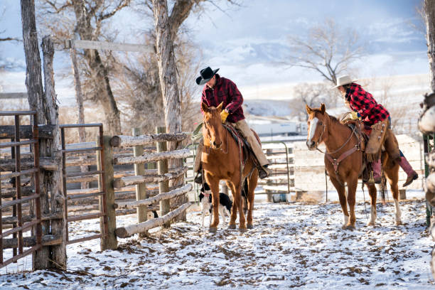 istock Ranchers and their horses on a Montana ranch in winter 952073696