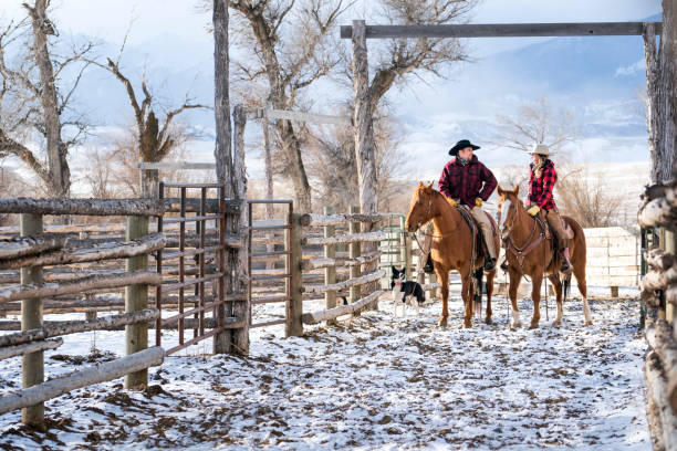 istock Ranchers and their horses on a Montana ranch in winter 952073700