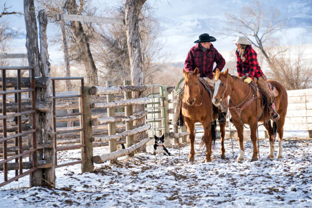 viehzüchter und ihre pferde auf einer montana ranch im winter - working horse stock-fotos und bilder