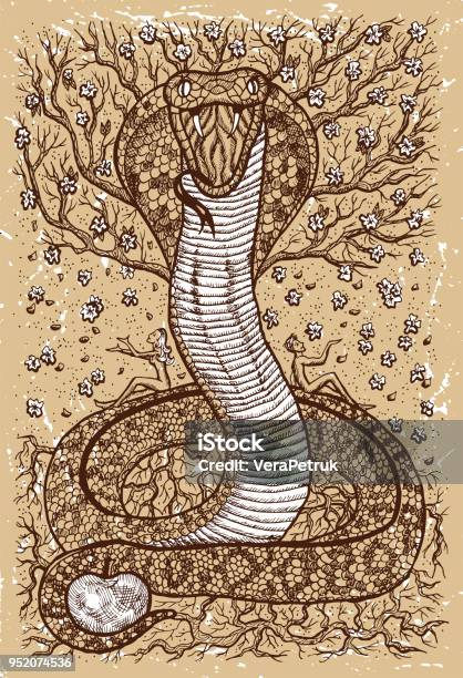 Snake Symbol With Eve Adam Tree Of Knowledge And Flowers On Old Texture Background Stock Illustration - Download Image Now