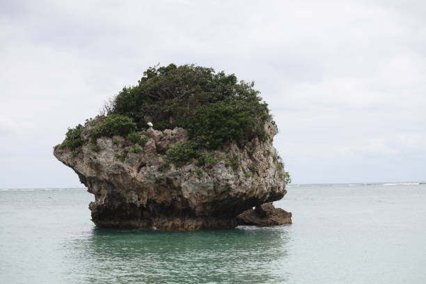 istock Huge rocks floating in sea 3 952077248