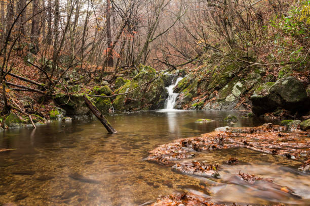istock A small mountain stream and waterfall surrounded by autumn colors 952077988