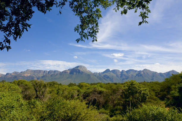 Drakensberg mountains range with green bush on the front
