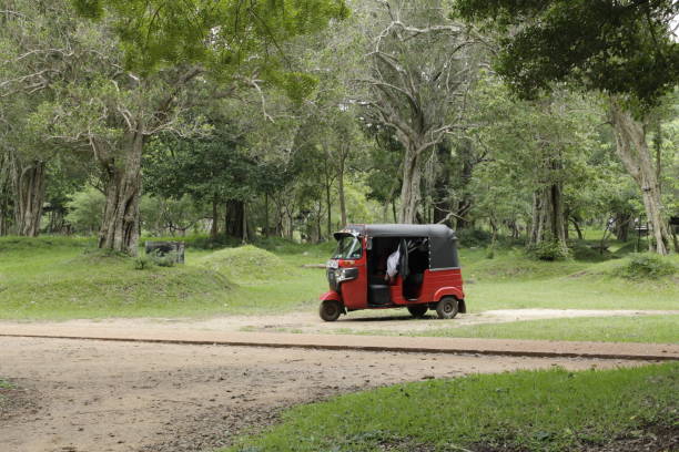 istock Rickshaw on a field of green 952082598
