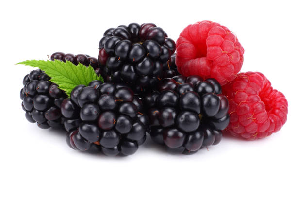 istock blackberries with raspberries and green leaf isolated on white background. macro 952084078