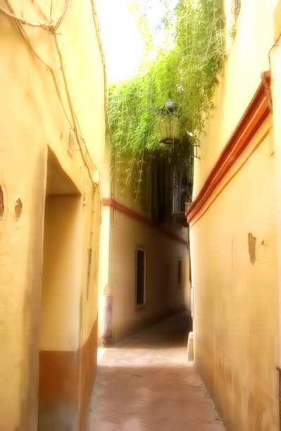 istock Seville Calle Verde atmospheric defocused image 952085776