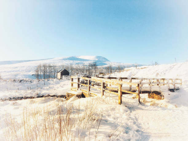 caneta y fã no inverno - wales brecon beacons bridge footpath - fotografias e filmes do acervo