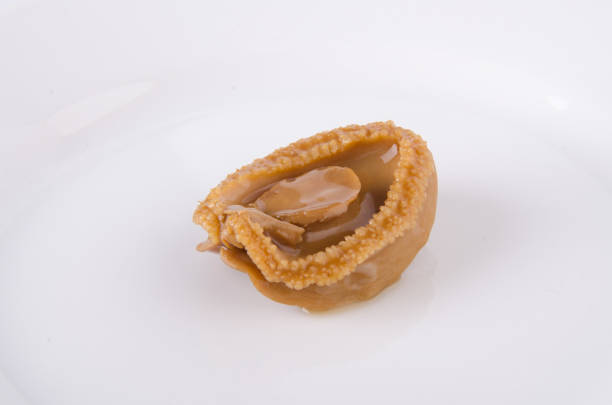 istock Abalones. Chinese cuisine abalone on the background. 952094704