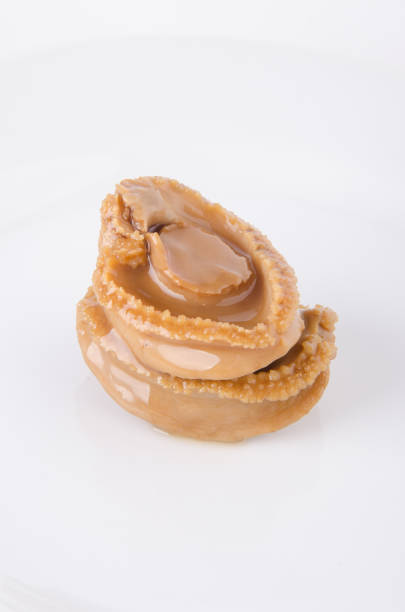istock Abalones. Chinese cuisine abalone on the background. 952094720
