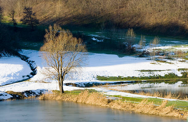 Wintry landscape stock photo