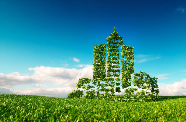 Eco friendly city growing on fresh grass. 3d rendering concept of city shape sign on fresh spring meadow with blue sky in background.
