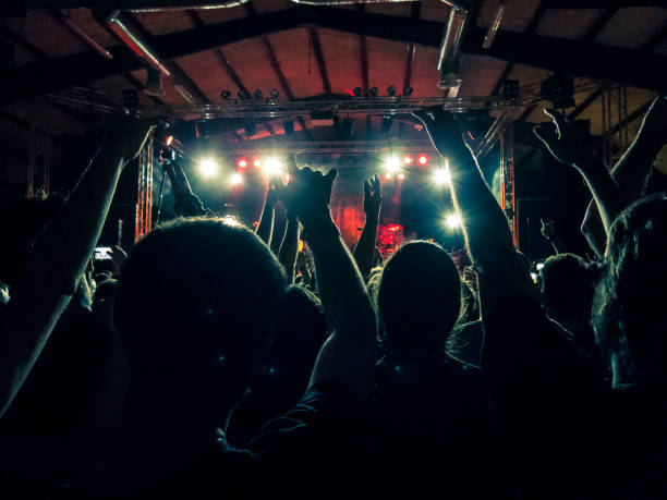 istock Concert fans in front of a stage 952103094