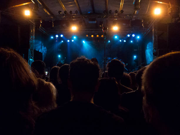 istock Concert fans in front of a stage 952103124