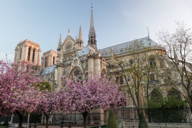 istock Paris, Notre Dame cathedral with spring trees in France 952104900