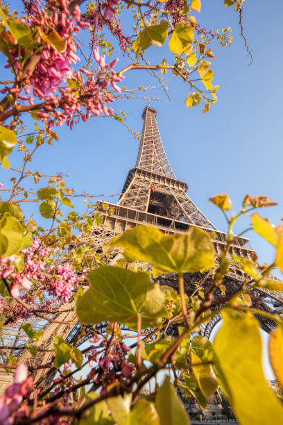 istock Eiffel Tower during spring time in Paris, France 952105262