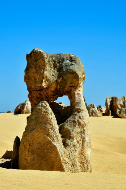 istock Australia, WA, Pinnacles rock formation 952107000