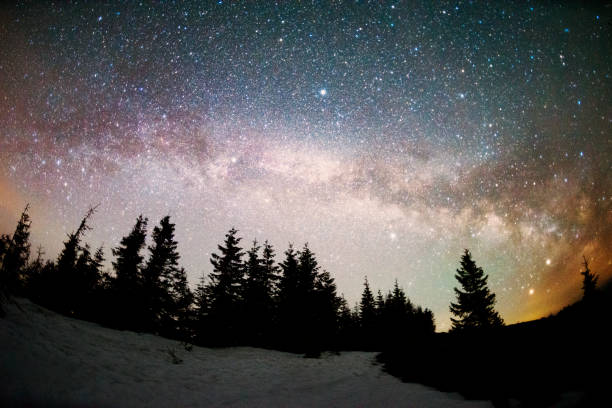 istock Milky Way over the Fir-trees 952109308