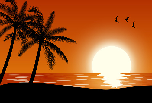 Silhouette palm tree on beach under sunset sky background. Vector illustration
