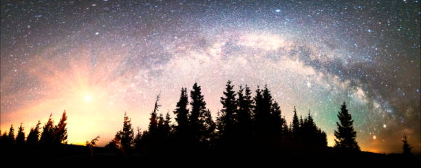 Photo of Milky Way over the Fir-trees