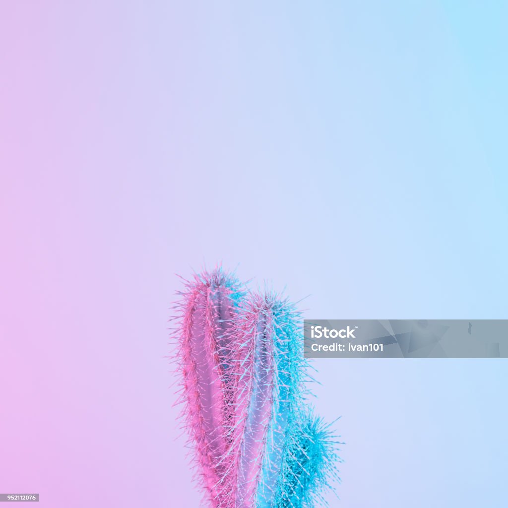 Cactus in vibrant bold gradient purple and blue holographic colors. Concept art. Minimal surrealism. Cactus Stock Photo