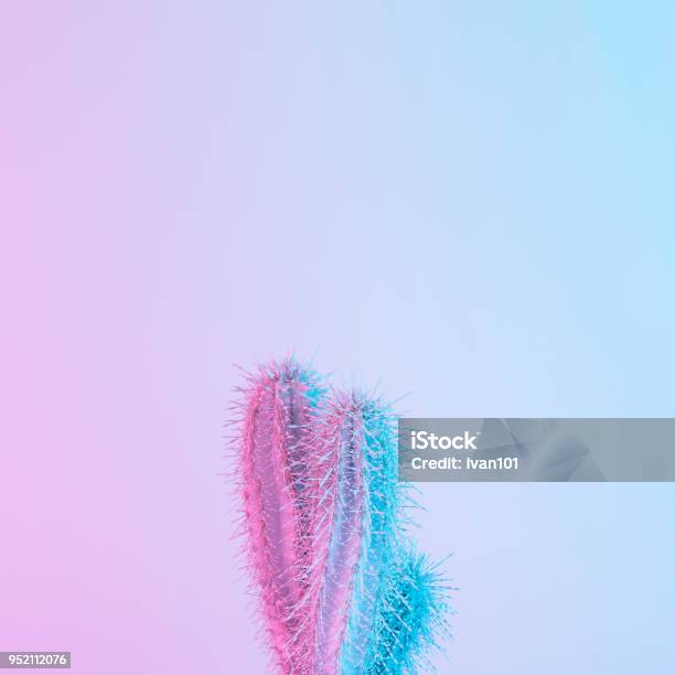 Cactus In Vibrant Bold Gradient Purple And Blue Holographic Colors Concept Art Minimal Surrealism Stock Photo - Download Image Now