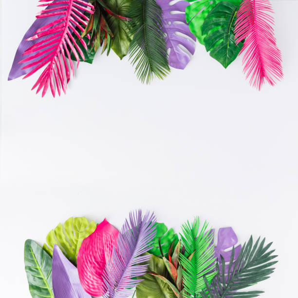 istock Creative layout made of colorful tropical leaves on white background. Minimal summer exotic concept with copy space. Border arrangement. 952114098