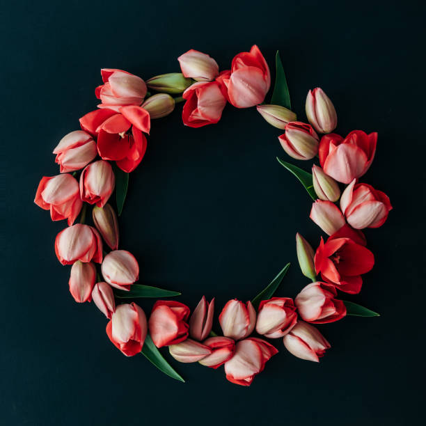 istock Styled minimalistic still life with tulip flowers on dark background. Flat lay. 952114104